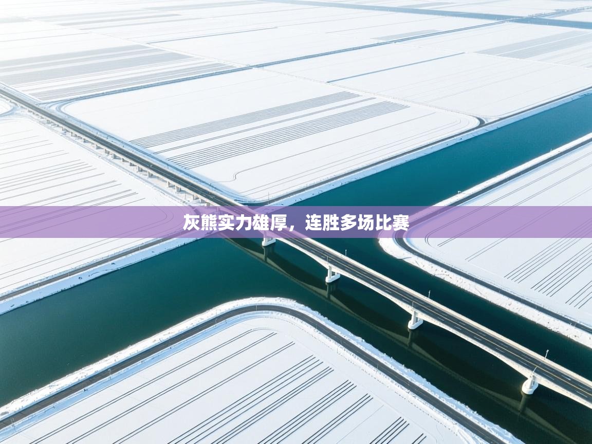 灰熊实力雄厚，连胜多场比赛