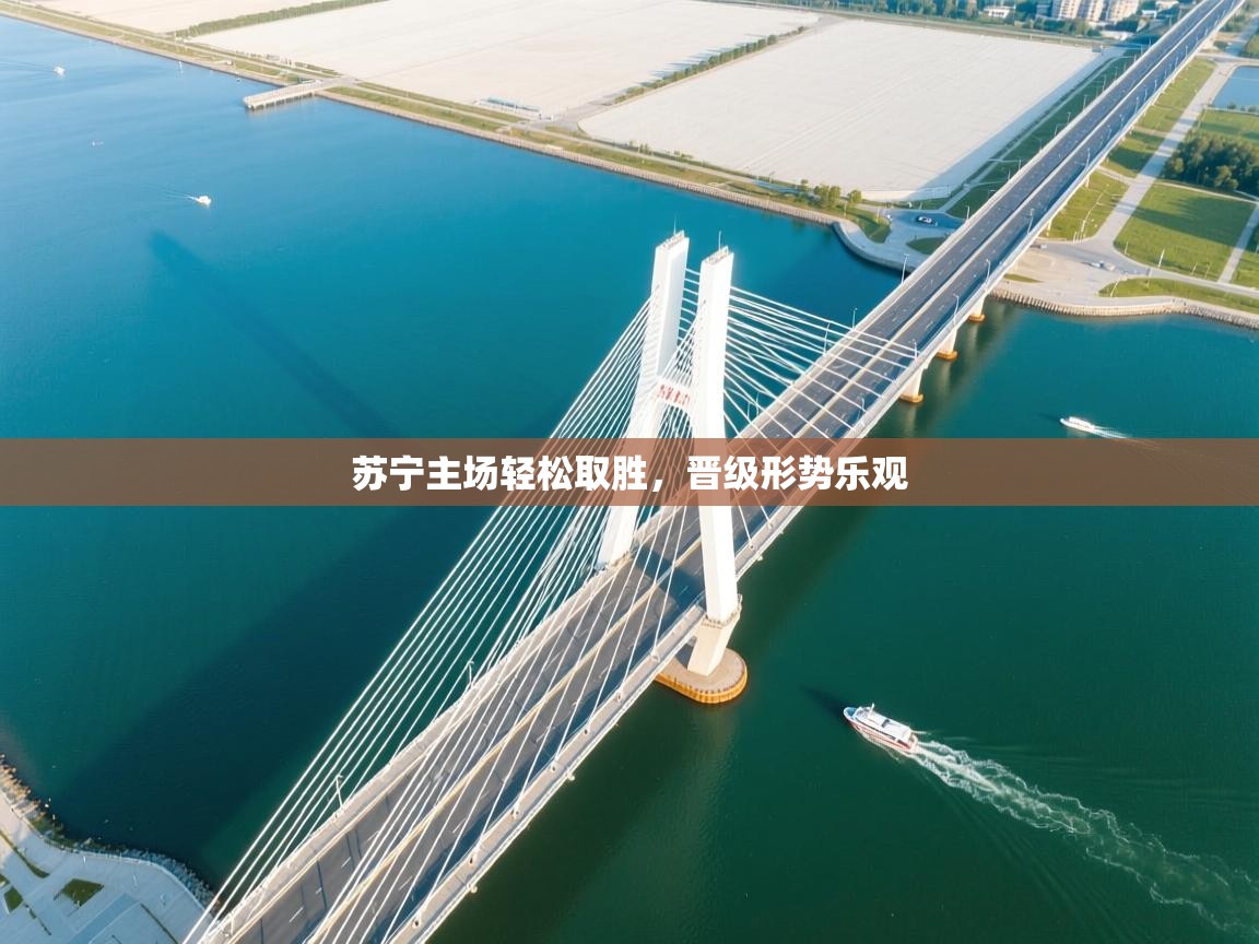 苏宁主场轻松取胜，晋级形势乐观  第2张