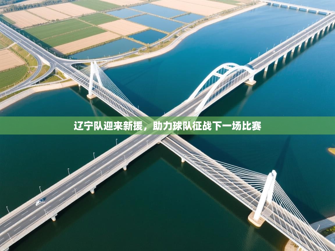 辽宁队迎来新援,助力球队征战下一场比赛 第1张