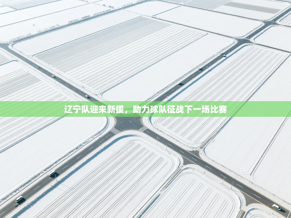 辽宁队迎来新援,助力球队征战下一场比赛 第2张